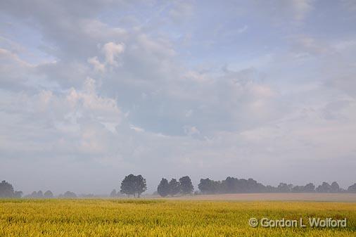 Field & Trees_03808.jpg - Photographed near Orillia, Ontario, Canada.